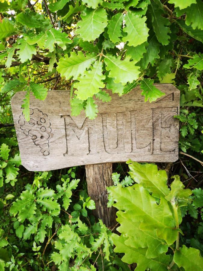 Bed and Breakfast Mule Lagardere Exterior foto